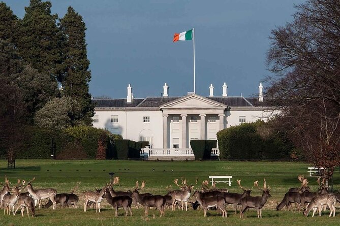 Women in Irish History Feminist Dublin Walking Tour with Guide - St Stephen’s Green: Constance Markievicz and the Irish Revolution